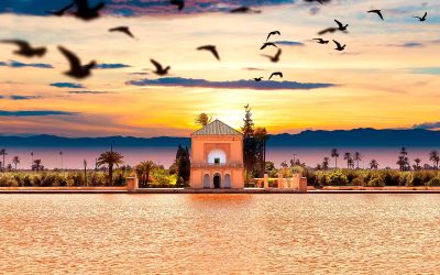 Création Entreprise à Marrakech